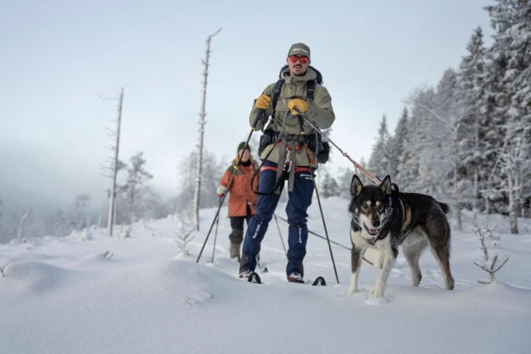 Kaksi henkilöä koiran kanssa hiihtämässä talvimaisemassa.